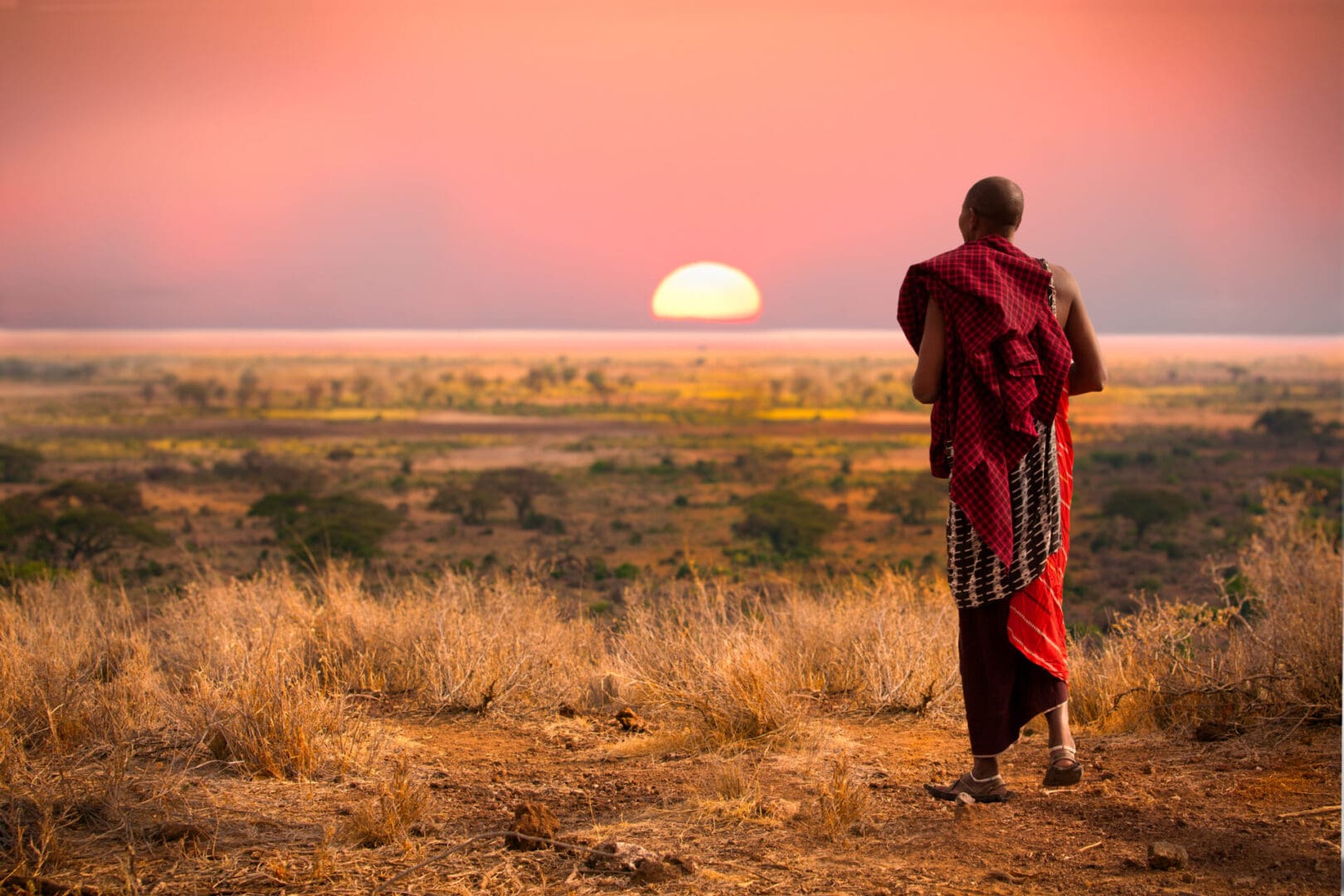 Masai man, wearing traditional blankets, overlooks Serengeti in Tanzania as the colorful sunset fills the sky. Wild grass in the forground.