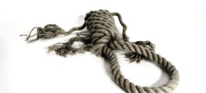Image of short noose