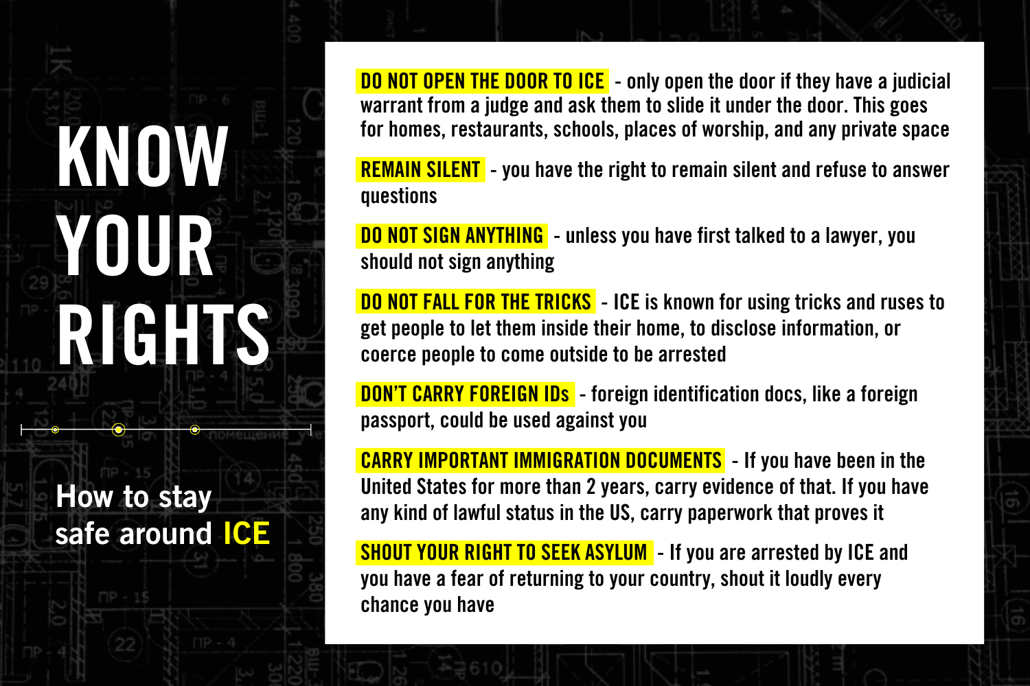 Know your rights how to stay safe around ICE