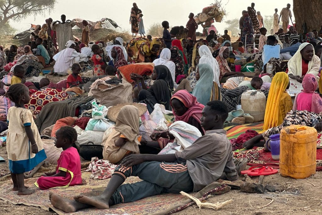 Reports on Human Rights Violations | Amnesty USA