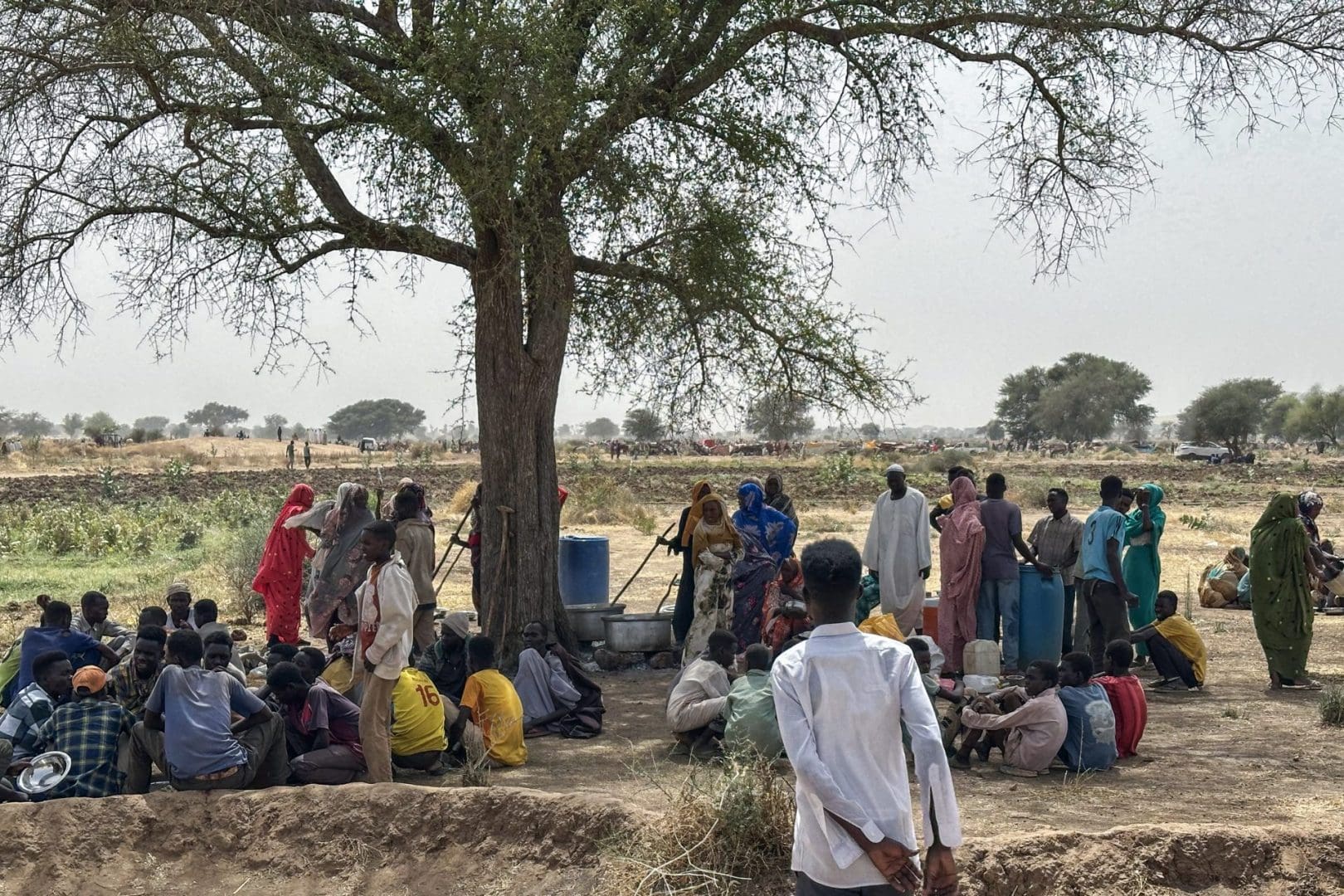 People who fled the Zamzam camp for the internally displaced after it fell under RSF control, gather for communal cooking in a makeshift encampment in an open field near the town of Tawila in war-torn Sudan's western Darfur region on April 13, 2025. The land is sparse and dry, with a few trees offering shade.