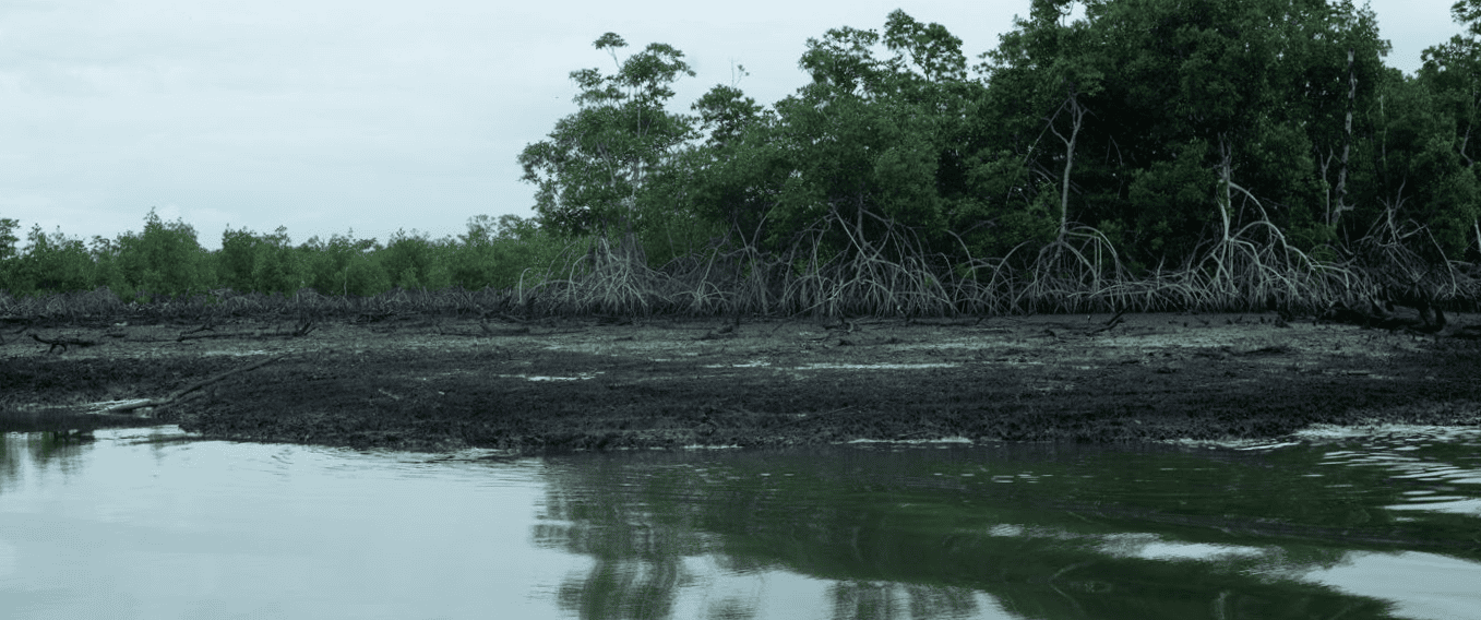 Oil pollution residue visible at the side of the rivers and creeks close to Bille, Nigeria in June 2026