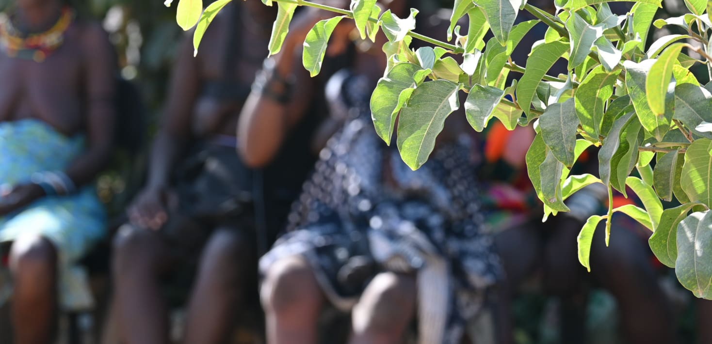A group of women sits on a bench in the background. In front of them hang a branch of green leaves.